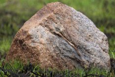 Boulder in Prairie