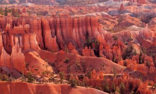 Bryce Canyon Flooded in Sunlight